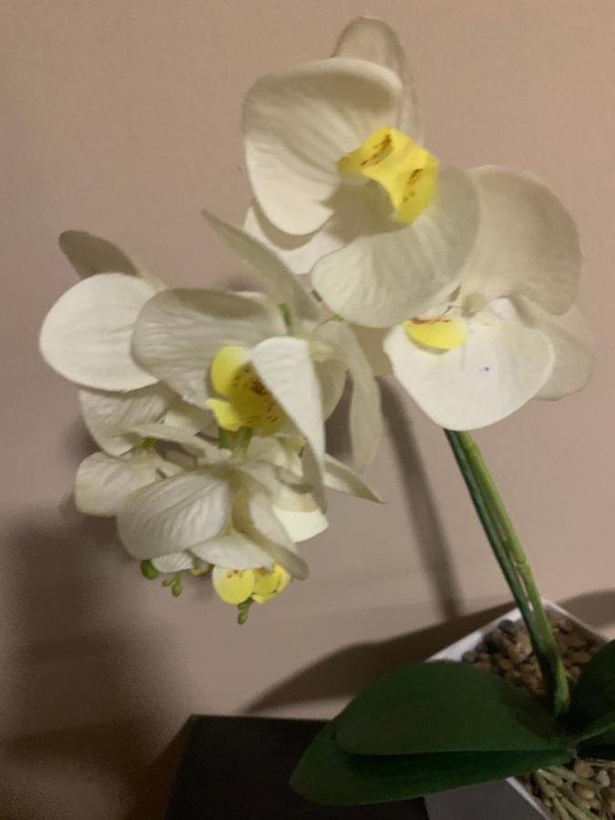 Toscana 2 德布勒森 外观 照片