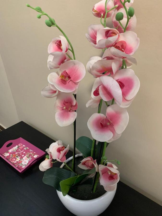 Toscana 2 德布勒森 外观 照片